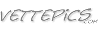 Free Web Space